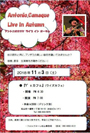 ¥¢¥Ë¥á-40864