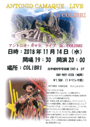 ¥¢¥Ë¥á-40899